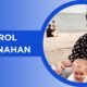Carol Brosnahan